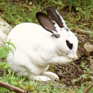 Meet your Posher, Jose